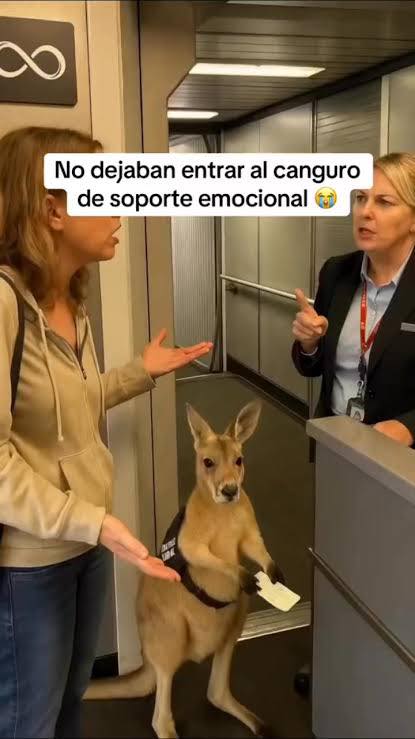 La novela de la IA